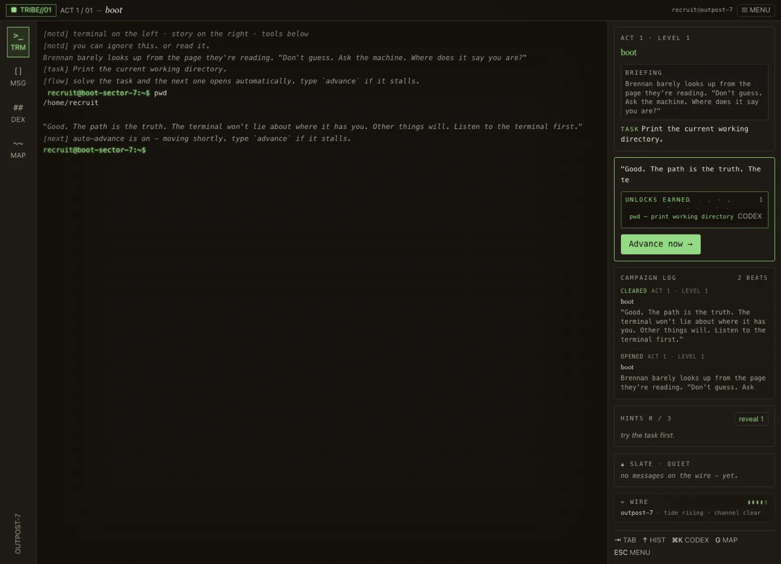 Terminal Tribe command result screen after solving an early campaign task.